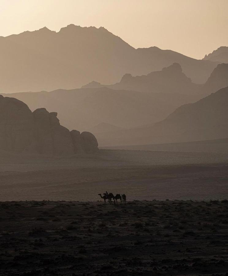 Wadirum Zeid Camp&Tours Wadi Rum Zewnętrze zdjęcie