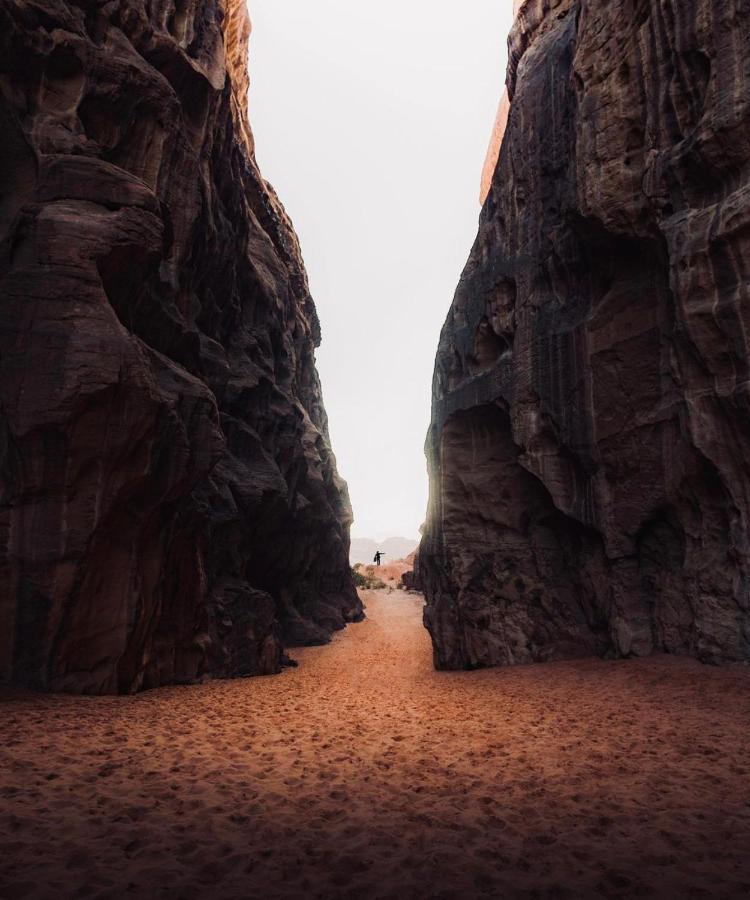 Wadirum Zeid Camp&Tours Wadi Rum Zewnętrze zdjęcie