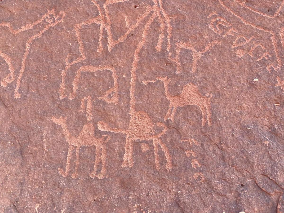 Wadirum Zeid Camp&Tours Wadi Rum Zewnętrze zdjęcie