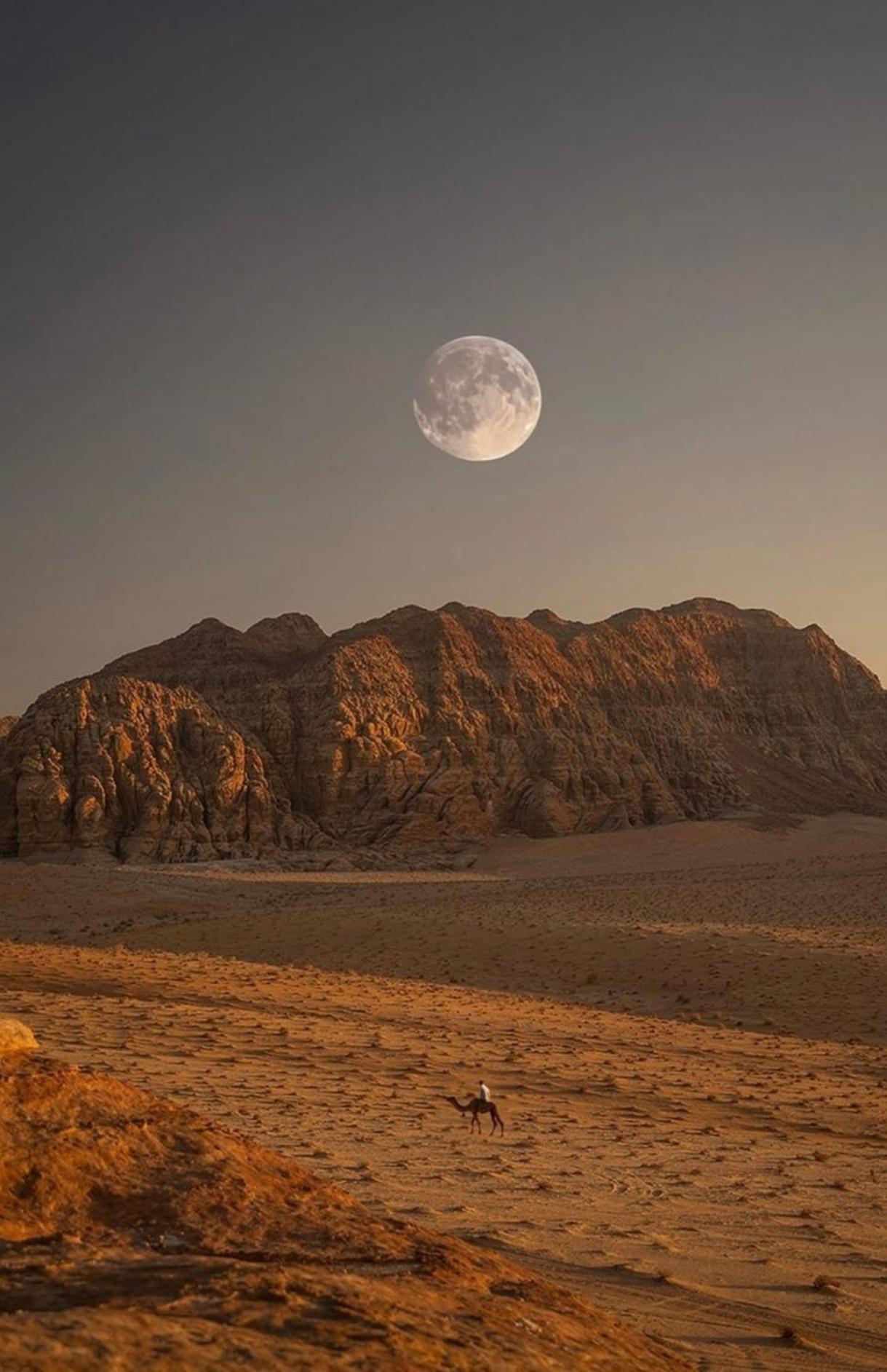 Wadirum Zeid Camp&Tours Wadi Rum Zewnętrze zdjęcie