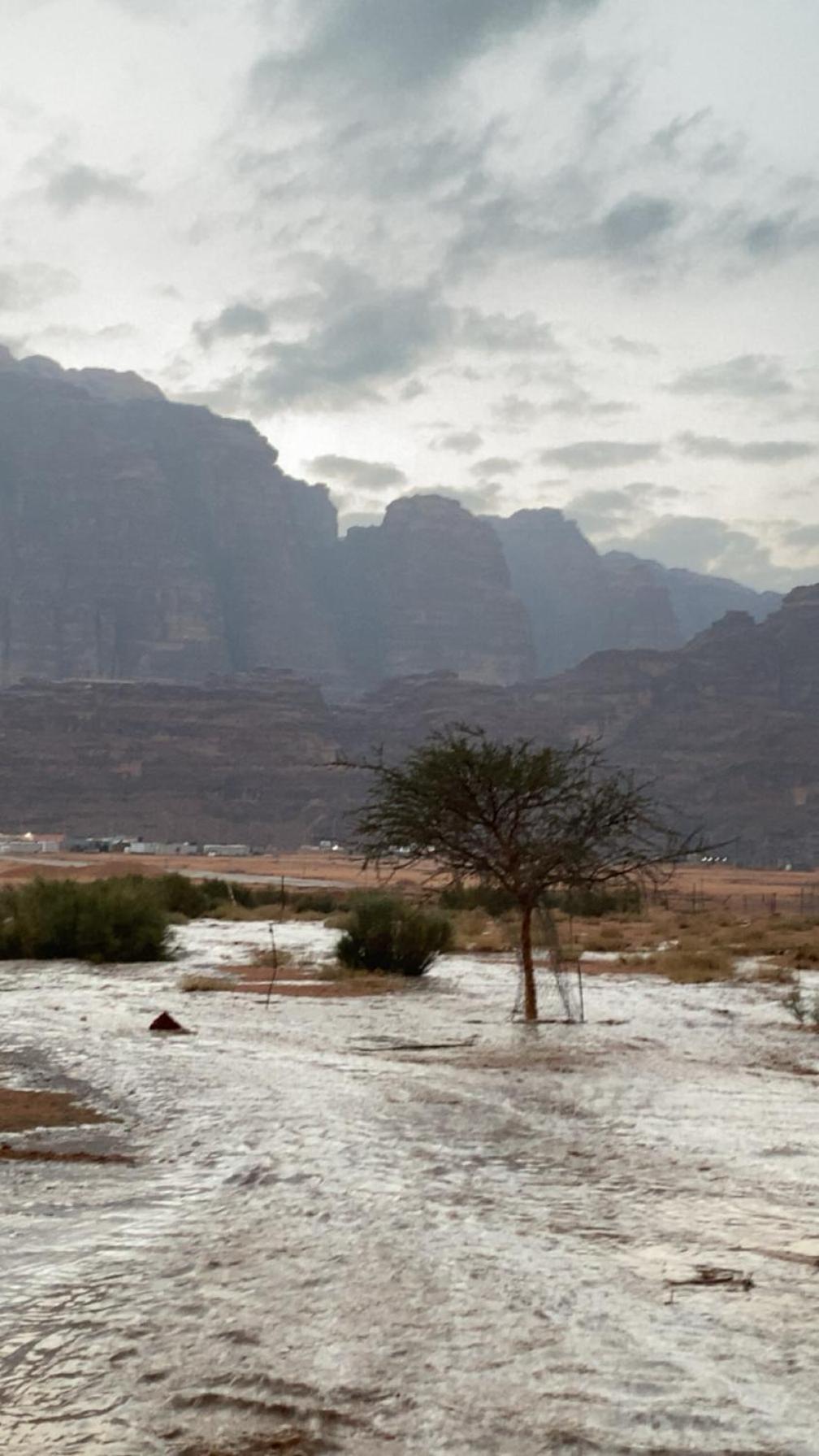 Wadirum Zeid Camp&Tours Wadi Rum Zewnętrze zdjęcie