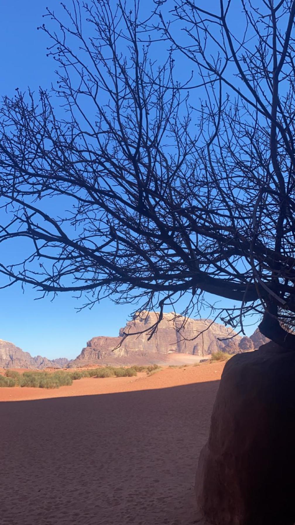 Wadirum Zeid Camp&Tours Wadi Rum Zewnętrze zdjęcie